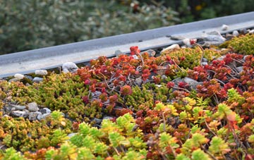 the cost of Fifehead St Quintin green roof installation
