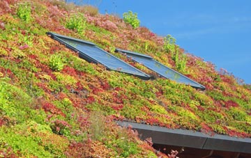 Fifehead St Quintin living roof systems