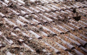 Fifehead St Quintin roof cleaning companies