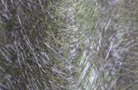 Fifehead St Quintin fibreglass roof work